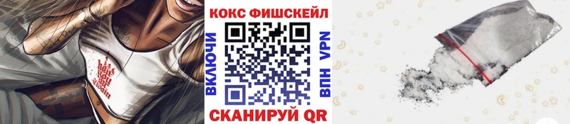 Купить закладки  Завитинск  Cocaine FishScale 