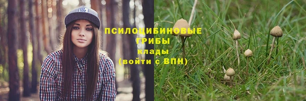 мет Армянск